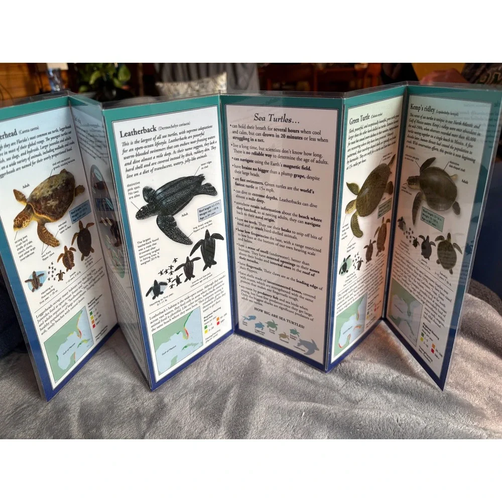 Sea Turtles of the Atlantic & Gulf of Mexico Waterproof‎ Guide Marine Life